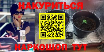 герыч Можга