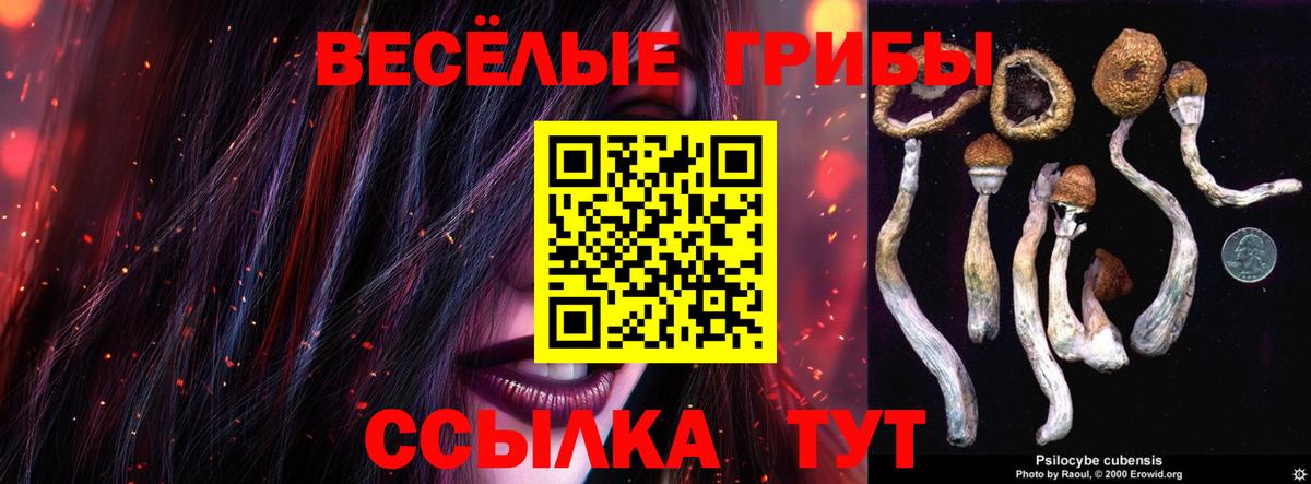 Галлюциногенные грибы мухоморы Ижевск